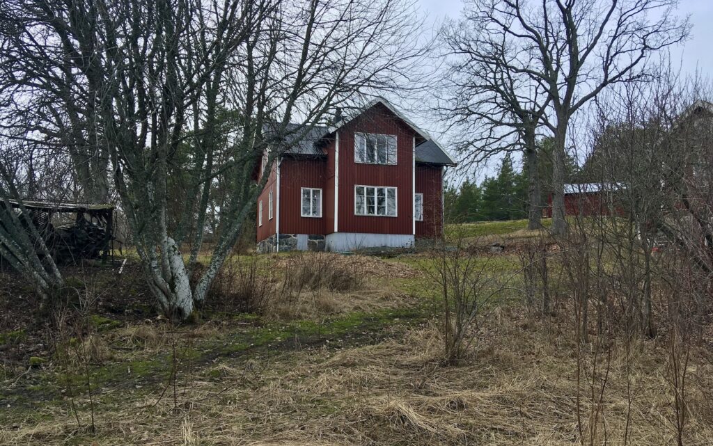 Vyn som fick mig på fall, en morgon i mars 2021.